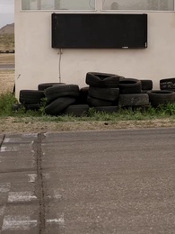 [Дубляж] День, когда чемпион потерял невесту - Episode 25