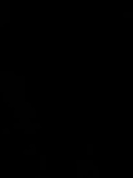 Episodio 37 - [Doblado]Mi clon es el fin del mundo