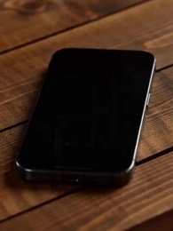 Flood Apocalypse: My Secret Tiny Farm in Pocket - Episode 9