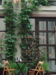 [Дубляж] День, когда чемпион потерял невесту - Episode 20