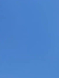 Hewan Roh: Kebangkitan Dewi Pencipta - Episode 27