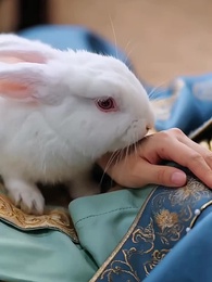 Episodio 3 - Tres años buscando al amor perdido