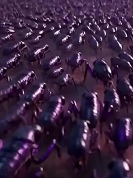 [Doblado]Héroe contra invasores - Episode 52