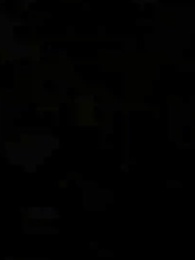 Episode 11 - Oops, I Built an Empire