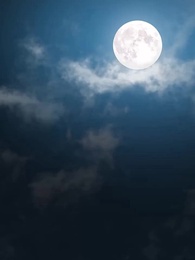 Cô Vợ Nhỏ Mang Thai Của Giáo Sư - Episode 19