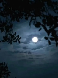 ตอนที่ 4 - ชาติหน้าจะเชื่อฟังเธอมากขึ้น