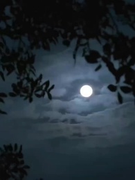 ตอนที่ 40 - ชาติหน้าจะเชื่อฟังเธอมากขึ้น