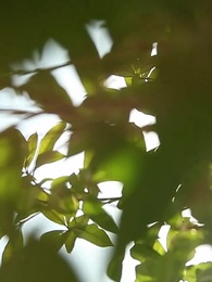 나의 도사님! - Episode 47