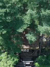 1화 - 나의 도사님!