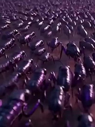 神獸大戰，我召喚華夏神龍暴打西方龍 - Episode 52