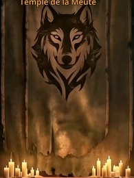 Mon Destin avec le Rogue Sans Meute - Episode 3