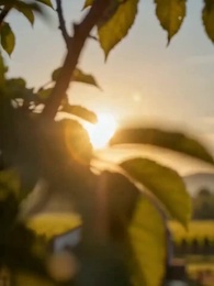 أنت اخترت التوسع، أنا اخترت البقاء - Episode 30