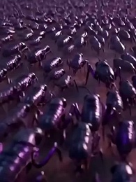 Sommoner: Sages vs Gods - Episode 52