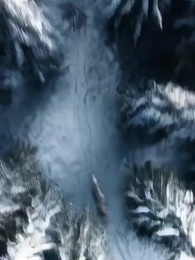 Épisode 1 - Mon Destin avec le Rogue Sans Meute