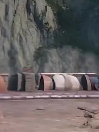 Episodio 36 - Cuando despertó el loong del Oriente