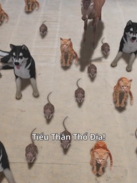 Tiểu Thần Thổ Địa Và Bảy Ngày Cứu Quốc - Episode 17