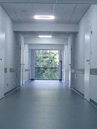 La Reine et le Pilote  - Episode 41