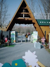 第8集 - 南有喬木，不可休思