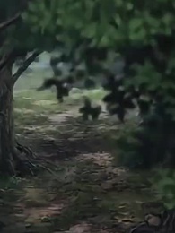 Bölüm 43 - Ejderhayı seçtin, kedim tanrı oldu. Sana ne?