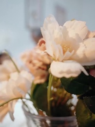 Episode 1 - From Rural Outcast   To Billionaire Heir