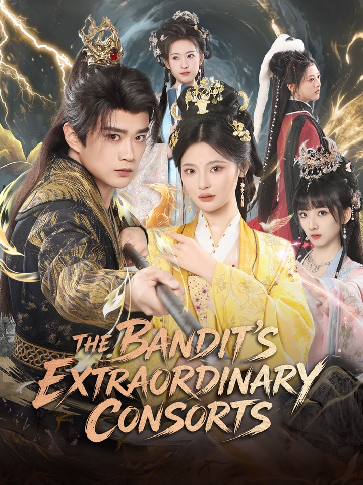 The Bandit's Extraordinary Consorts poster