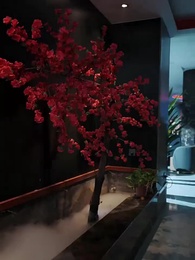 且將足底試新功 - Episode 4