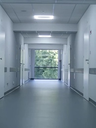 O Dia em que o Campeão Perdeu a Noiva - Episode 41