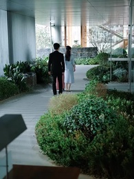 南有喬木，不可休思 - Episode 20