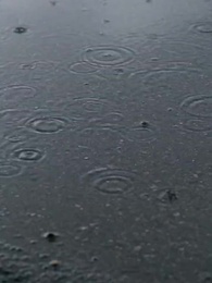 จากคนถูกทอดทิ้งสู่ราชินีมาเฟีย - Episode 10