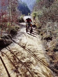 Episode 7 - The Bandit's Extraordinary Consorts