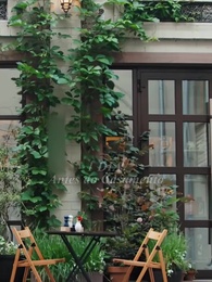 Episódio 20 - O Dia em que o Campeão Perdeu a Noiva