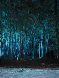 第34集 - 好景如願