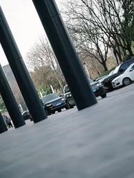 南有喬木，不可休思 - Episode 25