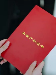 南有喬木，不可休思 - Episode 19