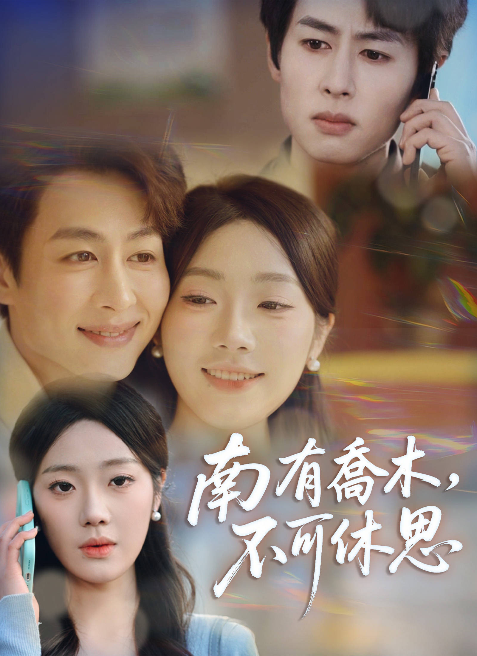 《南有喬木，不可休思》封面