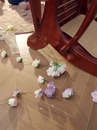 Episodio 51 - Destino  Aeterna