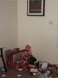 Episode 1 - Mega Tycoon System: Stream to Slay