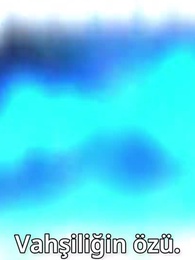 Ejderhayı seçtin, kedim tanrı oldu. Sana ne? - Episode 70