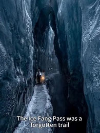 Too Late, She Married Another Alpha(updating) - Episode 29