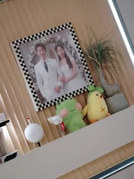 第3集 - 南有喬木，不可休思