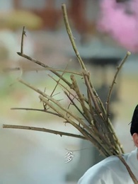 侯門錦帳謀 - Episode 44