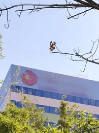 [Dubbed]Love's Final Ember - Episode 1