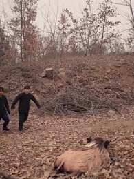 Episode 17 - Reborn in the 80s: My Fortune-Teller Wife