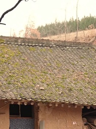 Reborn in the 80s: My Fortune-Teller Wife - Episode 3