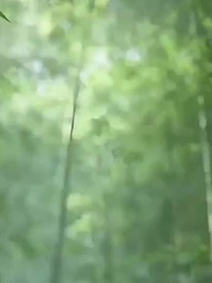 女帝拆我鎮魔觀，歡迎來到地獄 - Episode 44