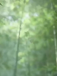 Episode 44 - [Dubbed] The Empress Burned It All