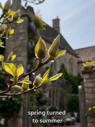 Episode 17 - The Silver Judged His Betryal