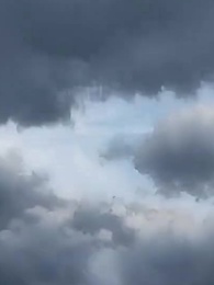 Episode 31 - [Dubbed] The Empress Burned It All