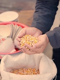 Reborn in the 80s: My Fortune-Teller Wife - Episode 23