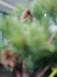 El Mendigo que Desafió al Poder - Episode 27